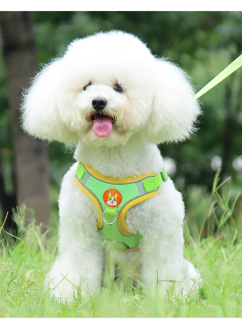 Dog Harness No Pull Reflective Adjustable Vest for Small Dogs Puppy and Chihuahua
