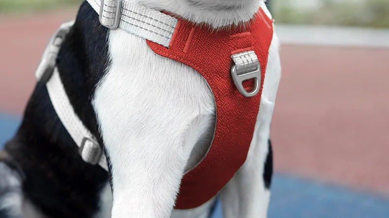 Anti Pull Dog Harness Vest Reflective for Large Dogs - Heavy Duty Oxford, No-Choke, Adjustable for Husky Labrador Training