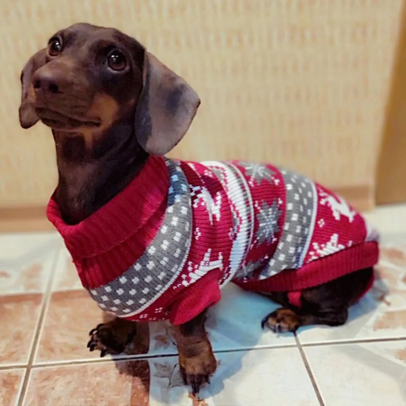 Cute Puppy Sweater for Winter | Soft & Cozy Dog Pullover | Small Dog Clothes | Pet Apparel - iTrenDee