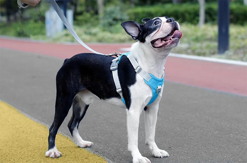 Anti Pull Dog Harness Vest Reflective for Large Dogs - Heavy Duty Oxford, No-Choke, Adjustable for Husky Labrador Training