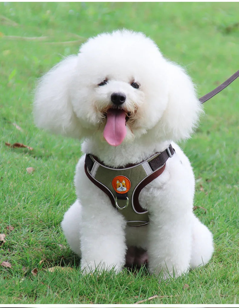 Dog Harness No Pull Reflective Adjustable Vest for Small Dogs Puppy and Chihuahua