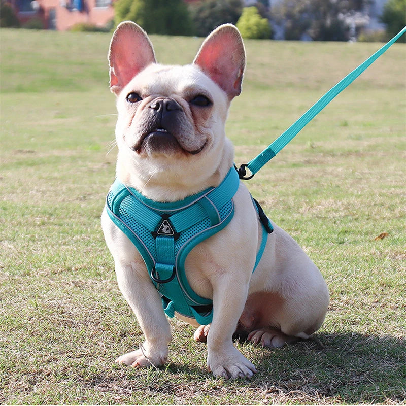 No Pull Dog Harness for Large Dogs, Adjustable Reflective Padded Vest with Breathable Mesh, Easy On/Off Leash Set