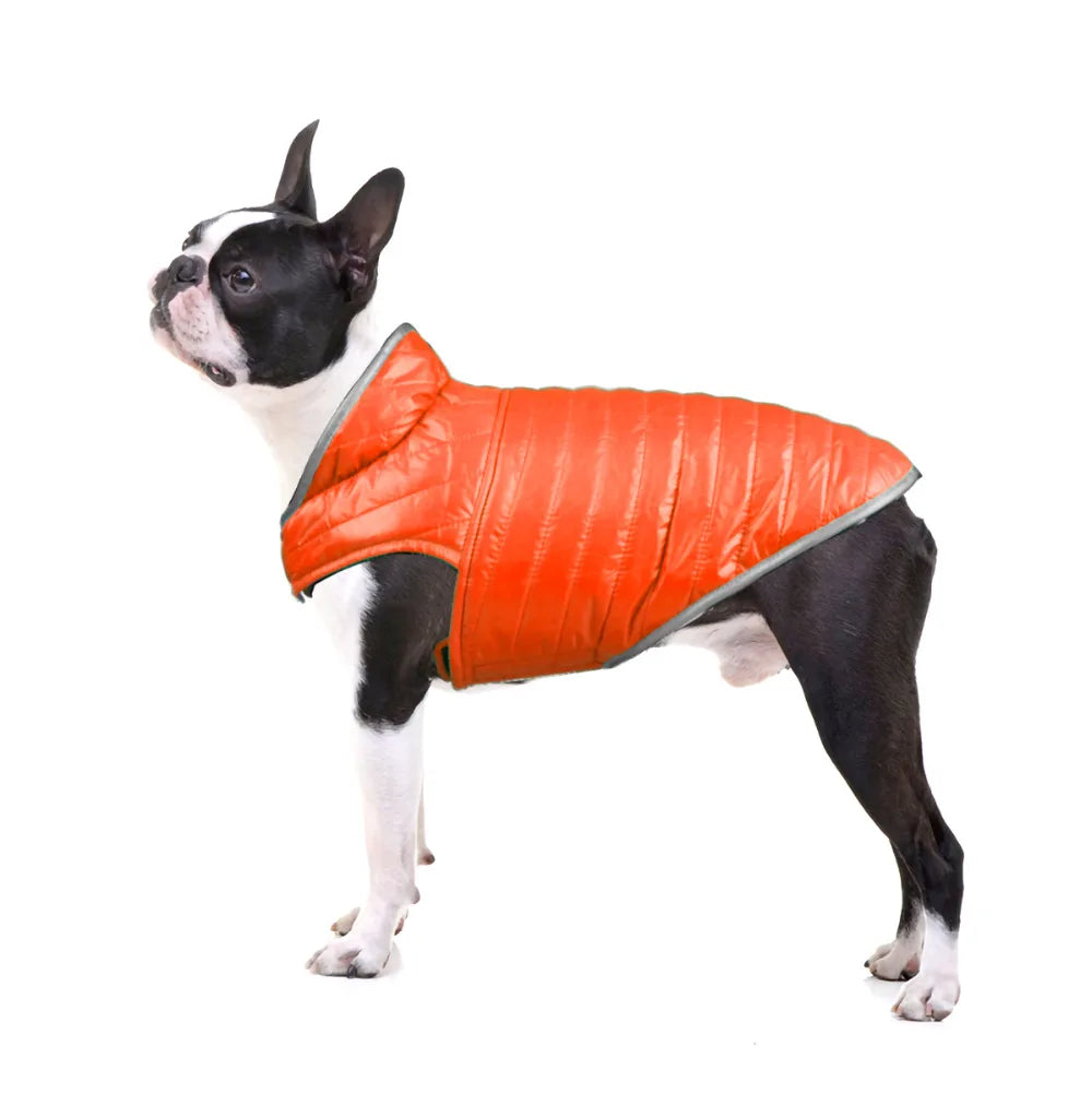 Dog Coats for Large Dogs: Reversible Dual-Color Reflective Winter Jacket