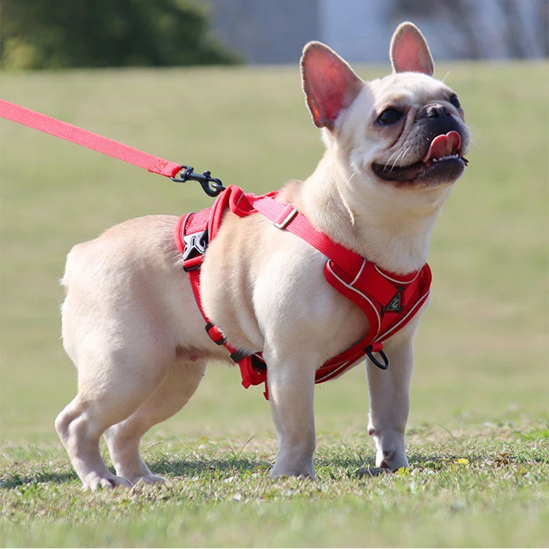 No Pull Dog Harness for Large Dogs, Adjustable Reflective Padded Vest with Breathable Mesh, Easy On/Off Leash Set