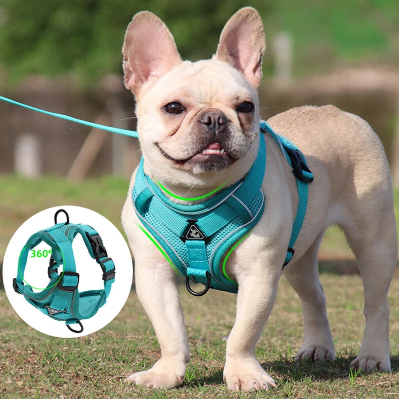 No Pull Dog Harness for Large Dogs, Adjustable Reflective Padded Vest with Breathable Mesh, Easy On/Off Leash Set