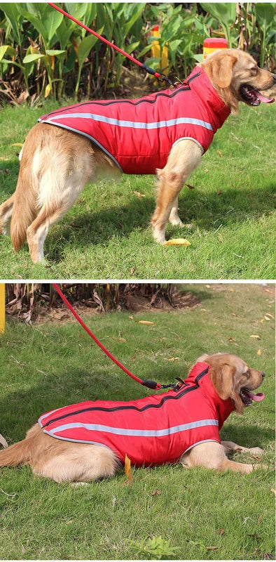 Warm Dog Jacket for Large Dogs Waterproof Winter Coat Padded Fleece Pet Coat Safety Reflective Design Dog Clothing