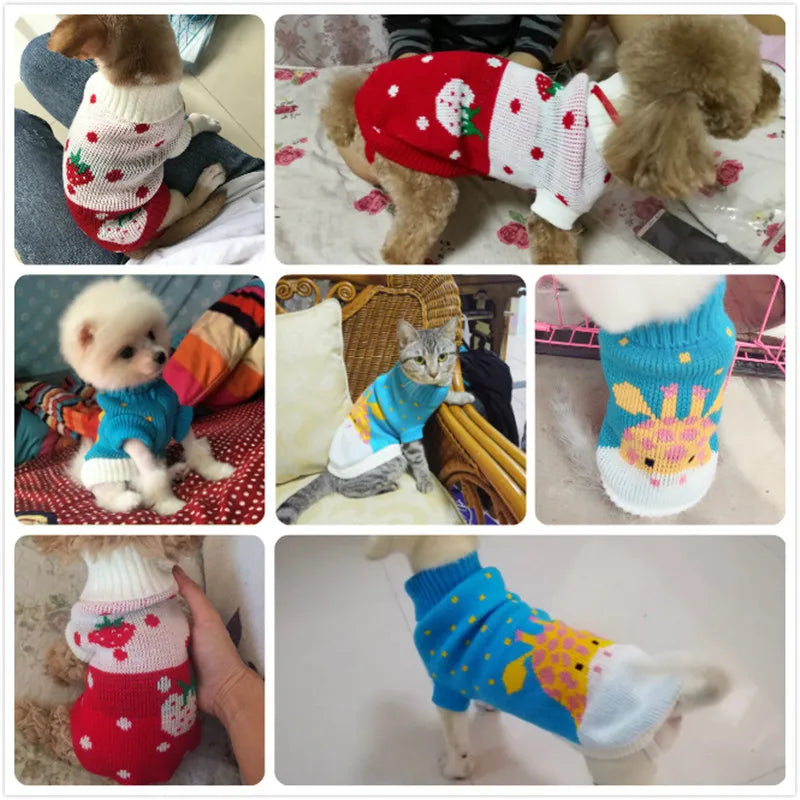 Cute Puppy Sweater for Winter | Soft & Cozy Dog Pullover | Small Dog Clothes | Pet Apparel - iTrenDee