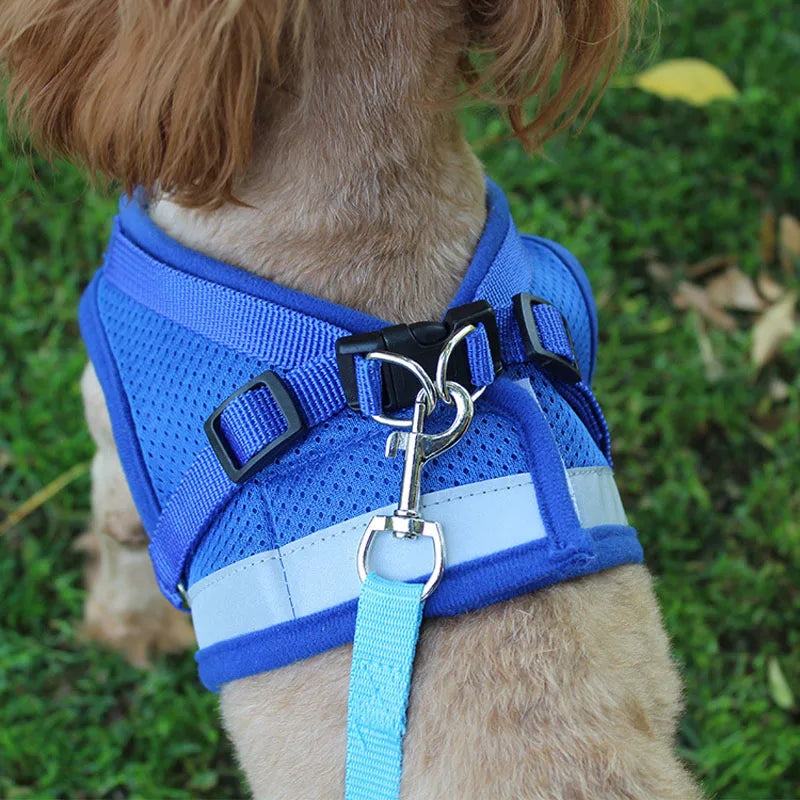 Dog Leash Harness Set, Reflective Safety Vest for Small Medium Dogs, Quick Release Puppy Chest Strap