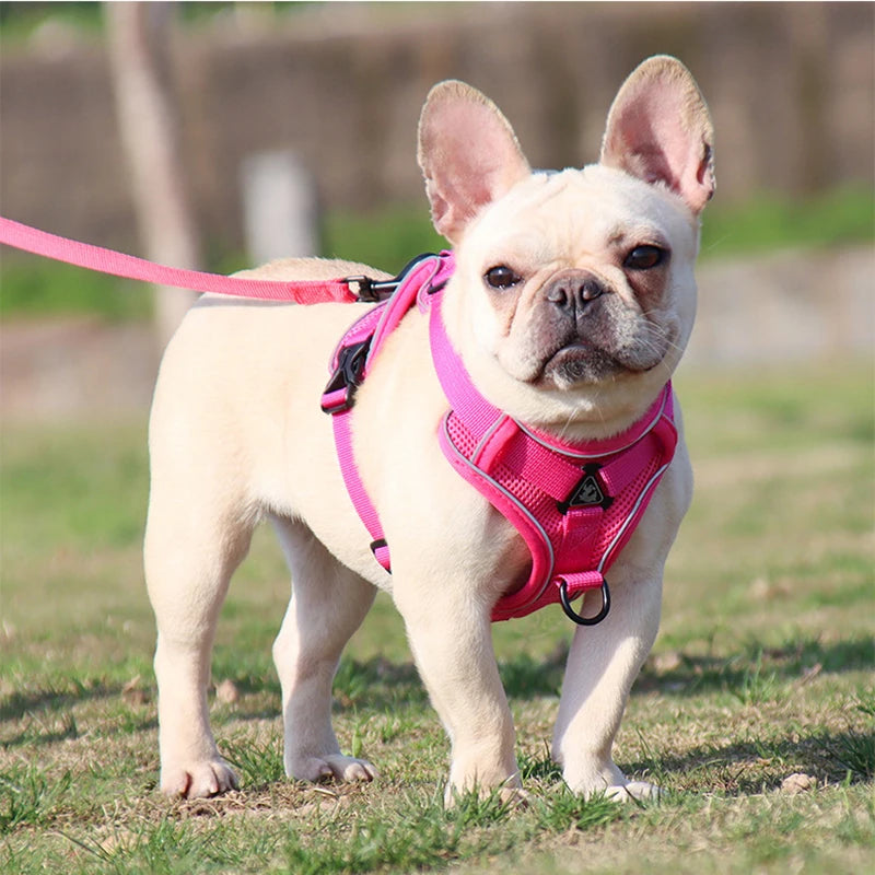 No Pull Dog Harness for Large Dogs, Adjustable Reflective Padded Vest with Breathable Mesh, Easy On/Off Leash Set