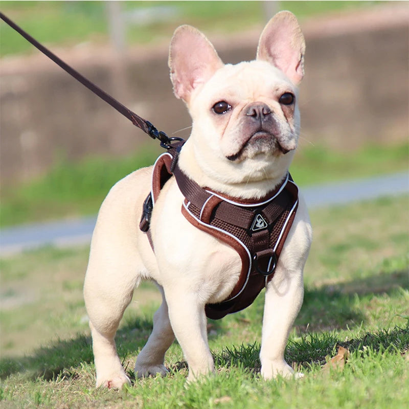No Pull Dog Harness for Large Dogs, Adjustable Reflective Padded Vest with Breathable Mesh, Easy On/Off Leash Set