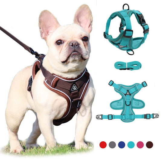 No Pull Dog Harness for Large Dogs, Adjustable Reflective Padded Vest with Breathable Mesh, Easy On/Off Leash Set