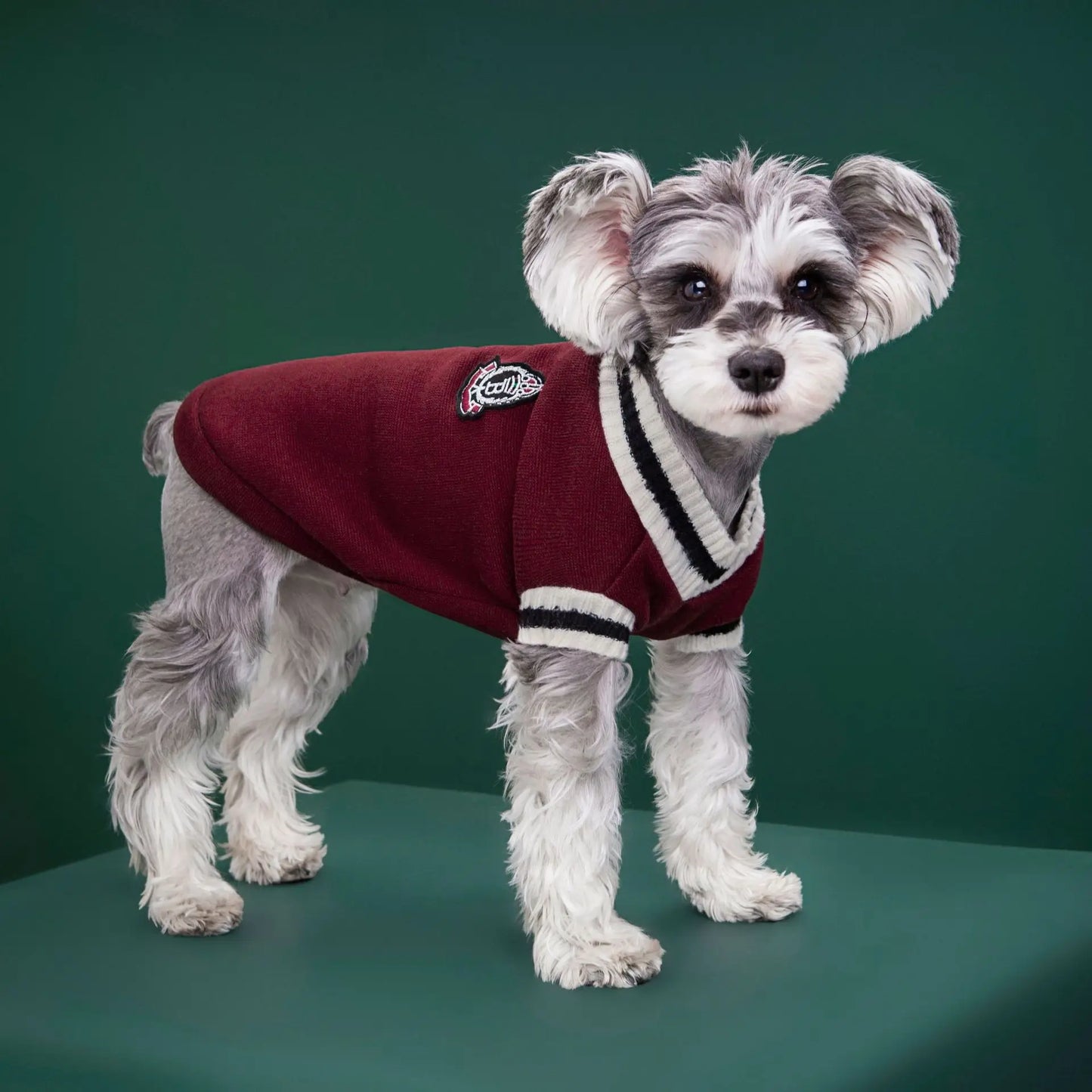 Dog Sweaters for Chihuahuas Warm College Style Pet Vest Clothes for Small Medium Dogs & Puppies