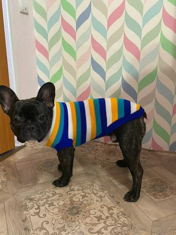 Warm Dog Sweaters for Small Medium Dogs Winter - Cute Knitted Puppy Coat - Chihuahua French Bulldog Yorkie - Animal Pattern