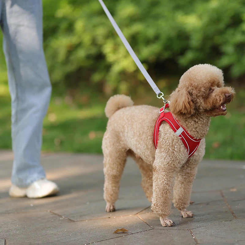 Dog Harness for Small Dogs, Adjustable Reflective Puppy Vest for French Bulldog, Chihuahua & Pug