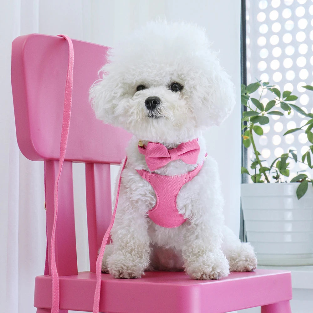 Dog Harness Collar and Leash Set with Bowtie for Small Medium Dogs, Adjustable & Cute Pet Vest Harness