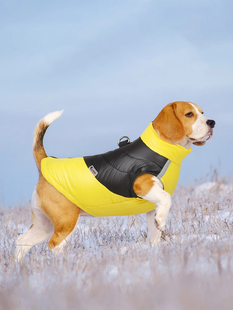 Puppy Winter Coat for Small to Large Dogs - Waterproof Warm Dog Jacket Vest for Cold Weather