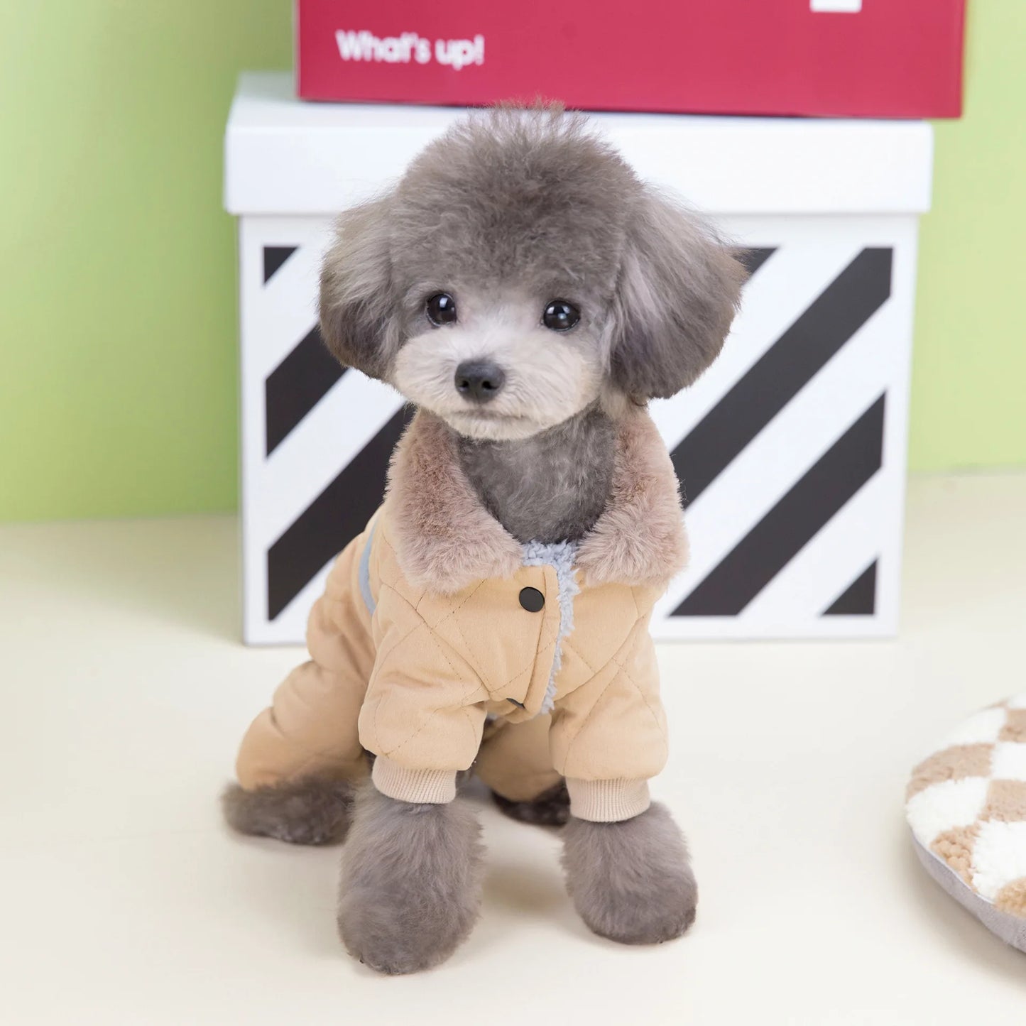 Dog Clothes Overalls Winter Fur Collar with D Ring for Small Dogs Puppy Chihuahua Poodle Pet Coat Jacket