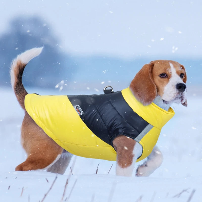 Puppy Winter Coat for Small to Large Dogs - Waterproof Warm Dog Jacket Vest for Cold Weather