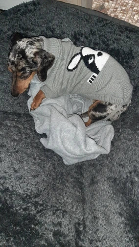 Warm Dog Sweaters for Small Medium Dogs Winter - Cute Knitted Puppy Coat - Chihuahua French Bulldog Yorkie - Animal Pattern