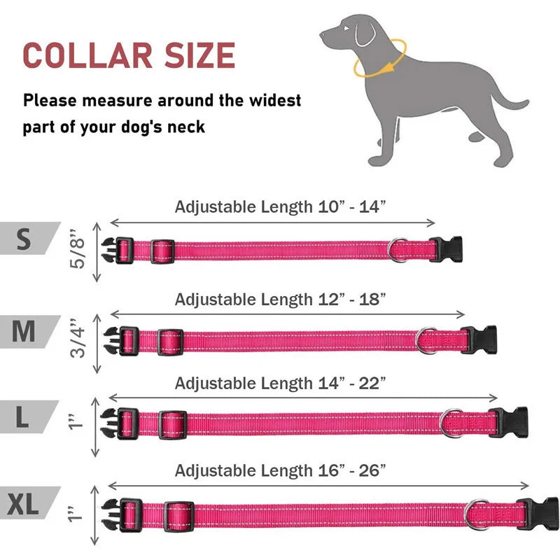 Reflective Dog Collar: Durable Adjustable Safety Nylon Strap