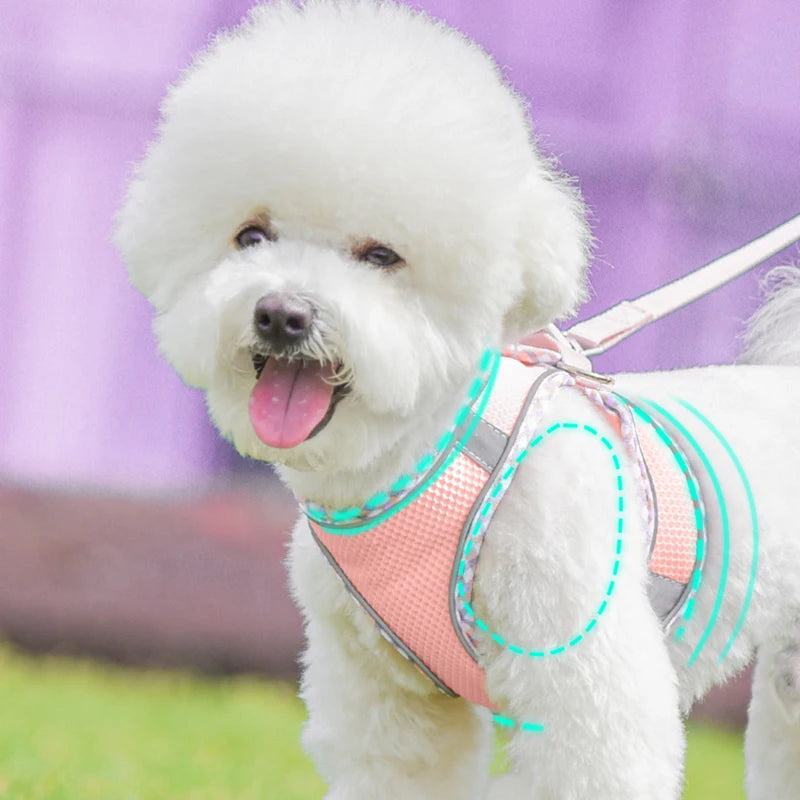 Dog Lead and Harness Set | Reflective Plaid Vest for Small Medium Dogs - Outdoor Walking Accessories for Chihuahua, Pomeranian