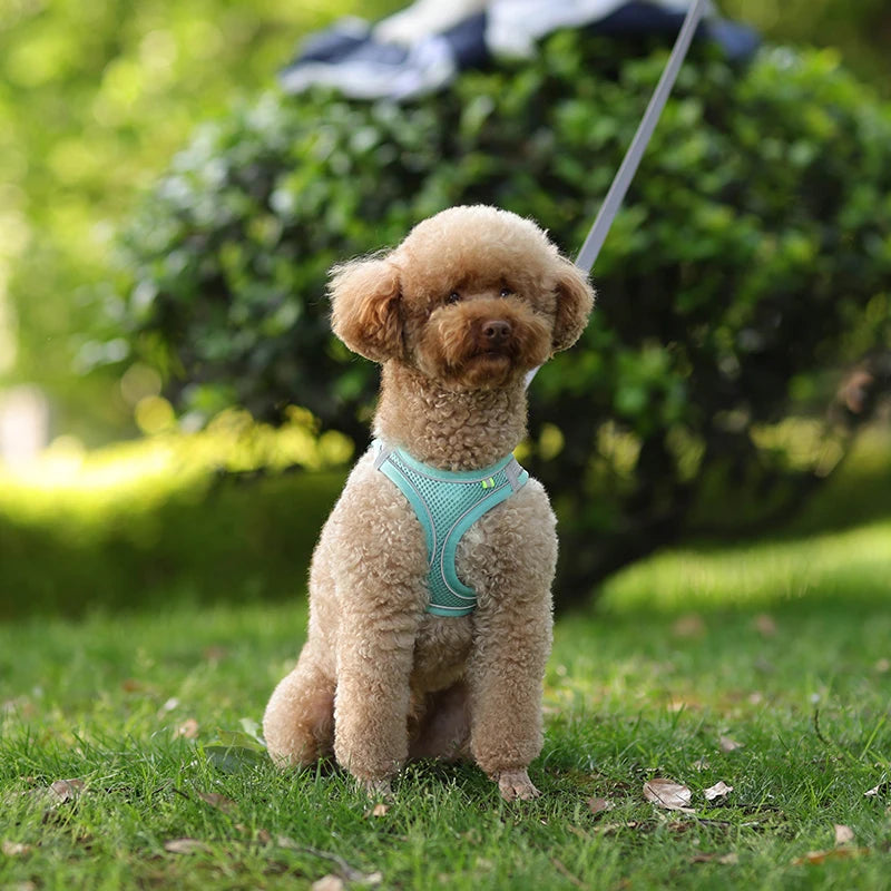 Dog Harness for Small Dogs, Adjustable Reflective Puppy Vest for French Bulldog, Chihuahua & Pug