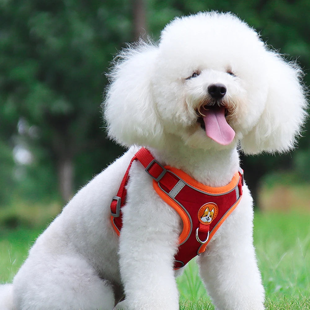 Dog Harness No Pull Reflective Adjustable Vest for Small Dogs Puppy and Chihuahua