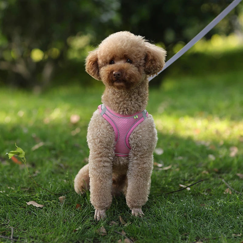 Dog Harness for Small Dogs, Adjustable Reflective Puppy Vest for French Bulldog, Chihuahua & Pug