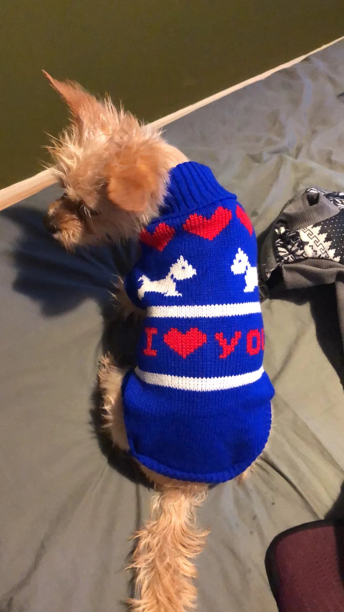 Warm Dog Sweaters for Small Medium Dogs Winter - Cute Knitted Puppy Coat - Chihuahua French Bulldog Yorkie - Animal Pattern