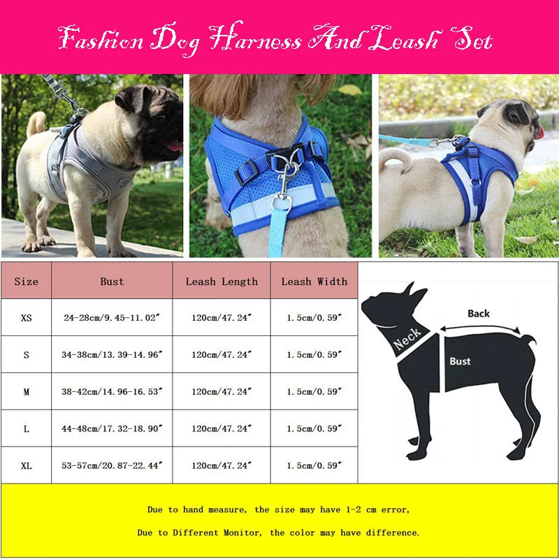 Dog Leash Harness Set, Reflective Safety Vest for Small Medium Dogs, Quick Release Puppy Chest Strap