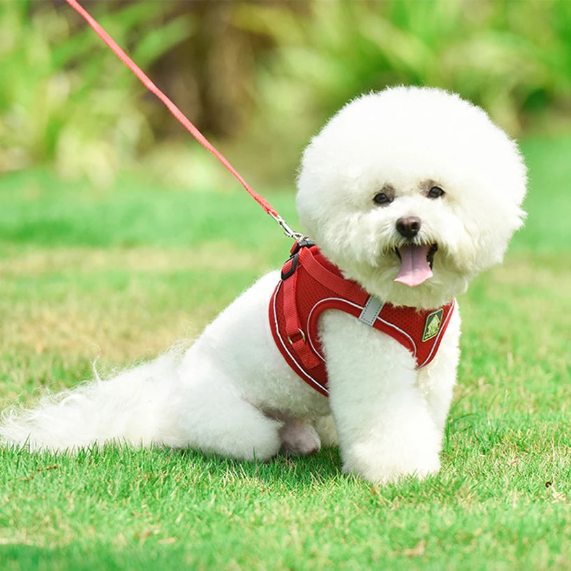 Small Dog Harness and Leash Set, No Pull Reflective Vest for French Bulldog Pug Walking, Breathable Mesh