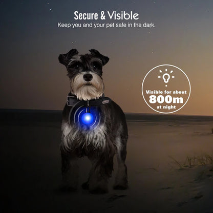 LED Dog Collar Light: Night Safety Glow Pendant Accessory