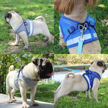 Dog Leash Harness Set, Reflective Safety Vest for Small Medium Dogs, Quick Release Puppy Chest Strap