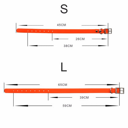 Waterproof Dog Collar: Odor Proof & Easy Clean TPU Design