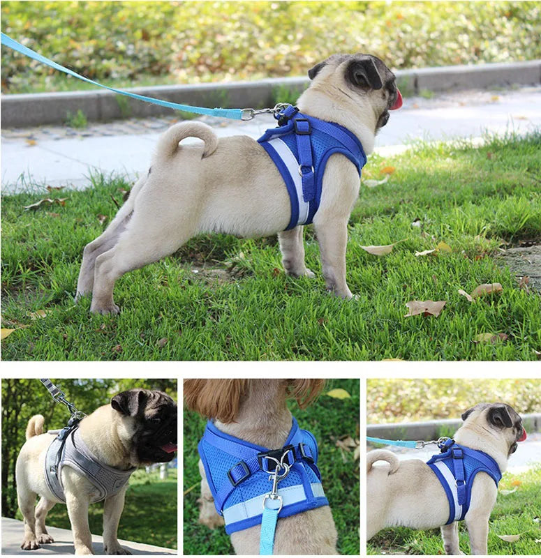 Dog Leash Harness Set, Reflective Safety Vest for Small Medium Dogs, Quick Release Puppy Chest Strap