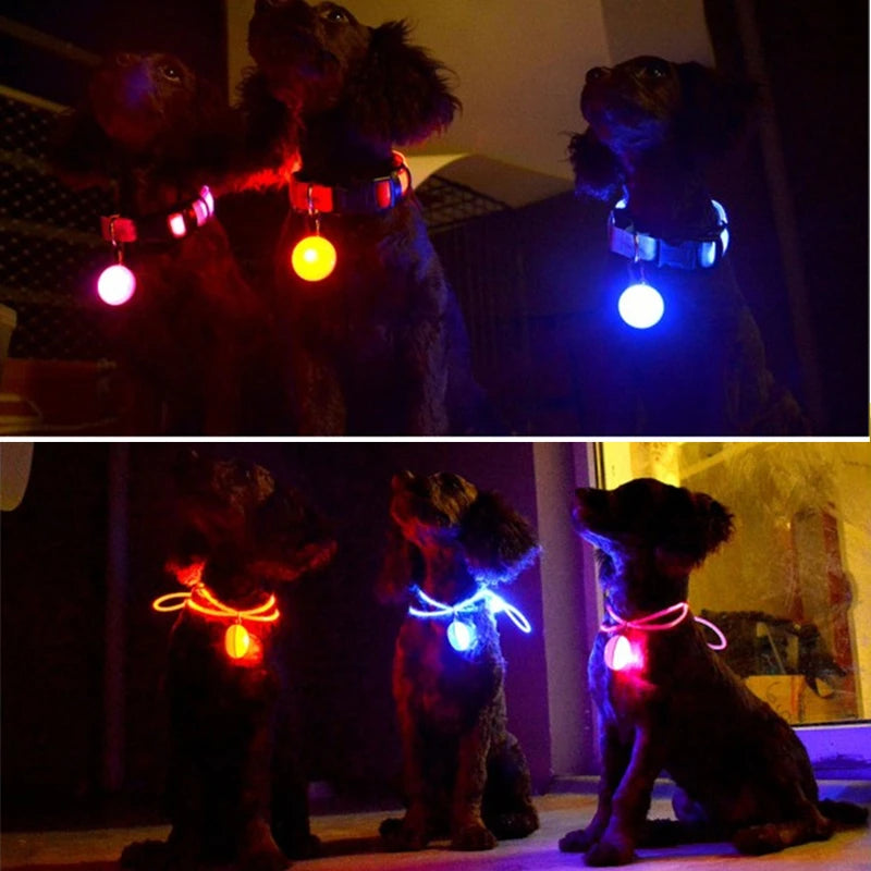 LED Dog Collar Light: Night Safety Glow Pendant Accessory