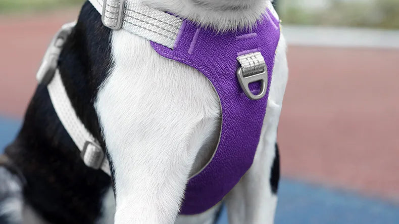 Anti Pull Dog Harness Vest Reflective for Large Dogs - Heavy Duty Oxford, No-Choke, Adjustable for Husky Labrador Training