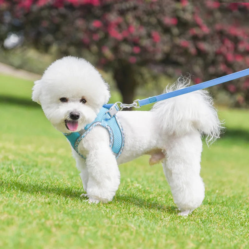 Dog Lead and Harness Set | Reflective Plaid Vest for Small Medium Dogs - Outdoor Walking Accessories for Chihuahua, Pomeranian