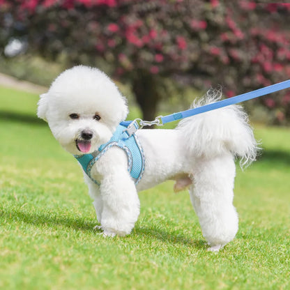 Dog Lead and Harness Set | Reflective Plaid Vest for Small Medium Dogs - Outdoor Walking Accessories for Chihuahua, Pomeranian