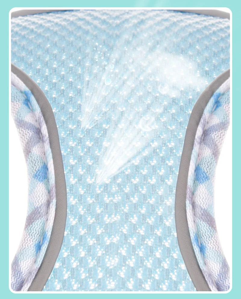 Dog Lead and Harness Set | Reflective Plaid Vest for Small Medium Dogs - Outdoor Walking Accessories for Chihuahua, Pomeranian