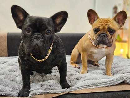 Cuban Link Dog Collar: Luxury Iced Out Gold Diamond Chain