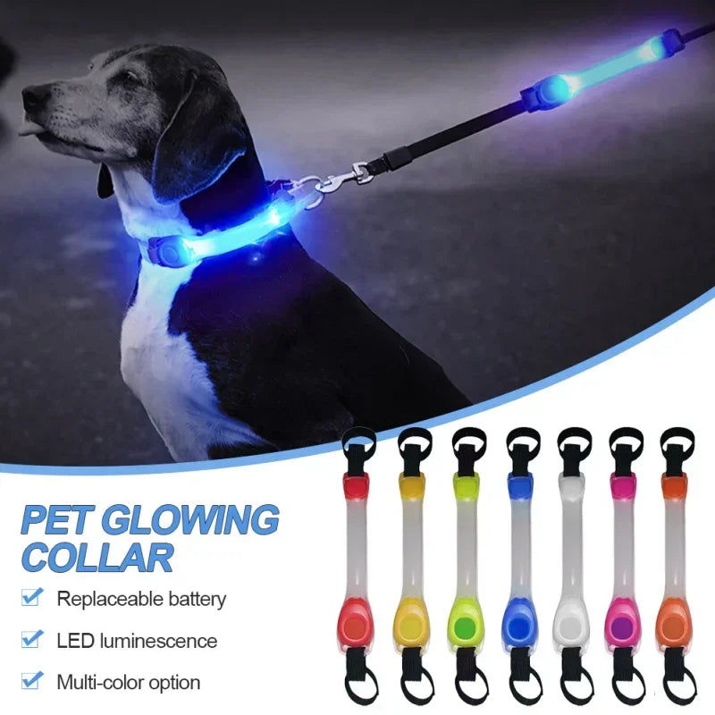 Glow in the Dark Dog Collar: Waterproof LED Safety Light