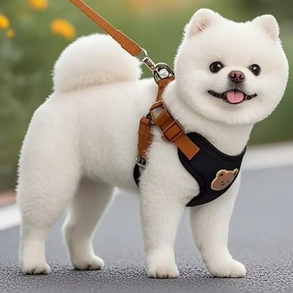 Dog Harness and Leash Set for Small Dogs - Breathable Escape Proof Vest for French Bulldog, Chihuahua and Puppy
