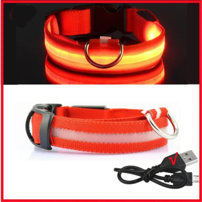 Dog Collar with a Light, USB Rechargeable & Waterproof Glow