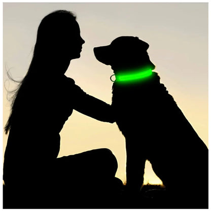 Dog Collar with a Light, USB Rechargeable & Waterproof Glow