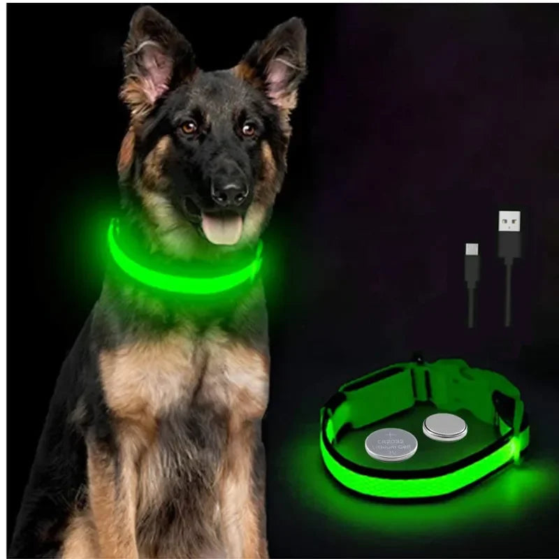 Dog Collar with a Light, USB Rechargeable & Waterproof Glow