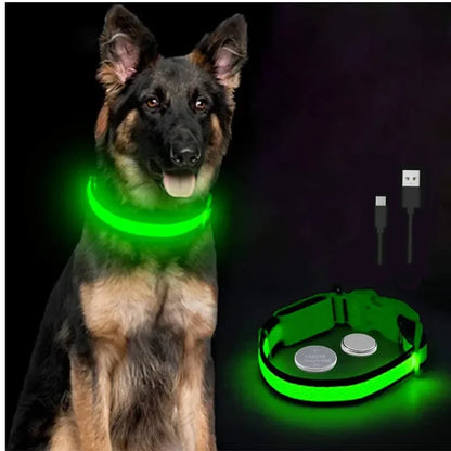 Dog Collar with a Light, USB Rechargeable & Waterproof Glow