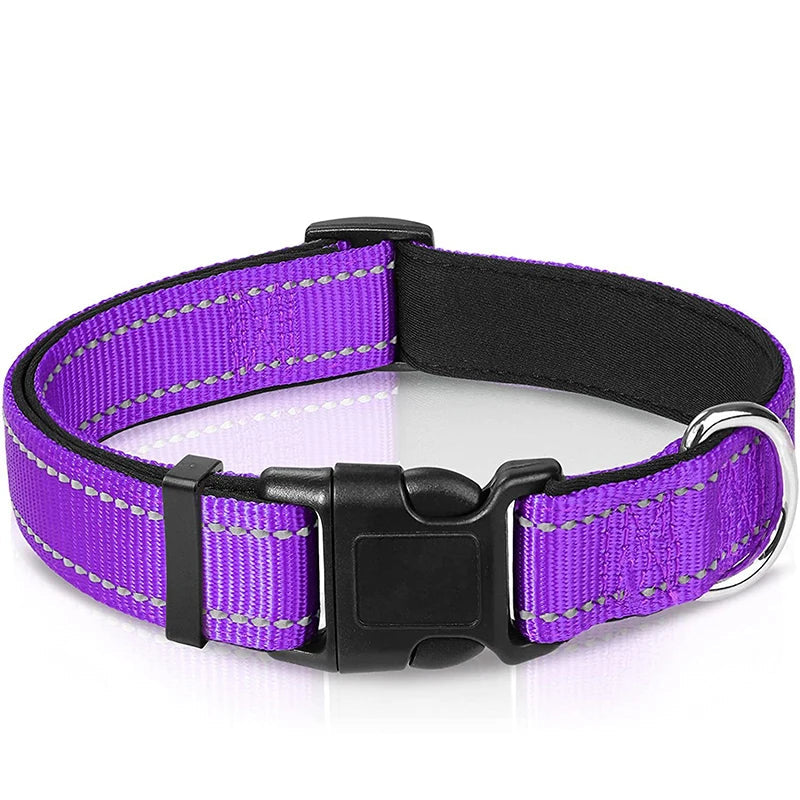 Purple dog collar with reflective stripes on a white background
