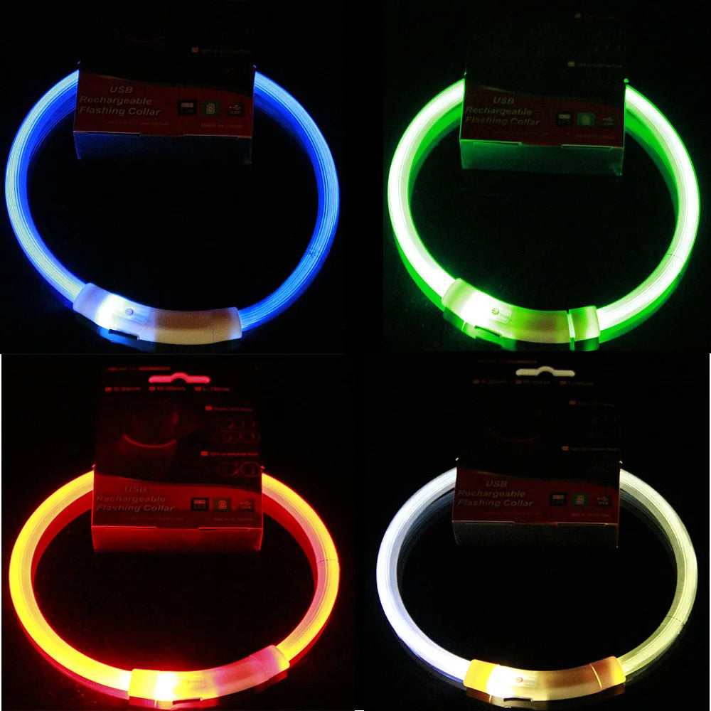 Light Up Dog Collar: USB Rechargeable, Glowing Night Safety