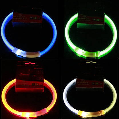 Light Up Dog Collar: USB Rechargeable, Glowing Night Safety